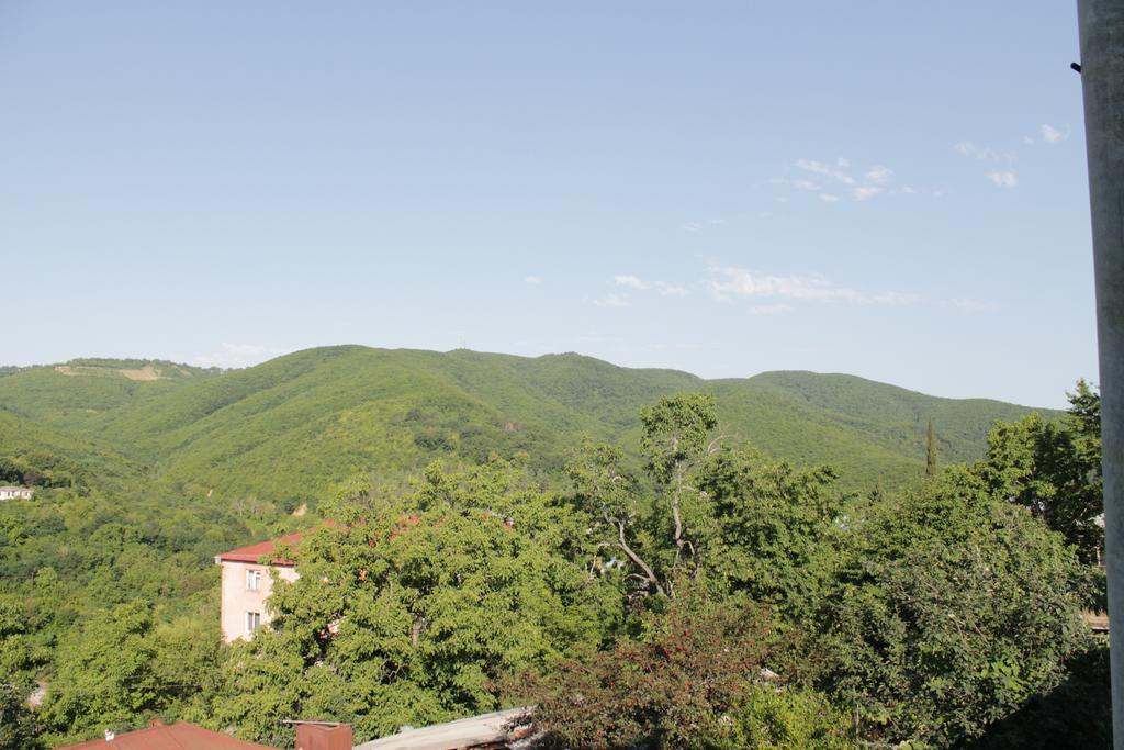 Best - Host Sighnaghi Exterior foto